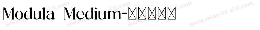 Modula Medium字体转换